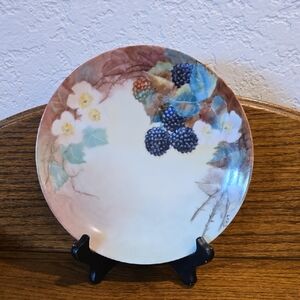 Thomas Sevres Bavaria Porcelain Floral and Berry Decorative Plate